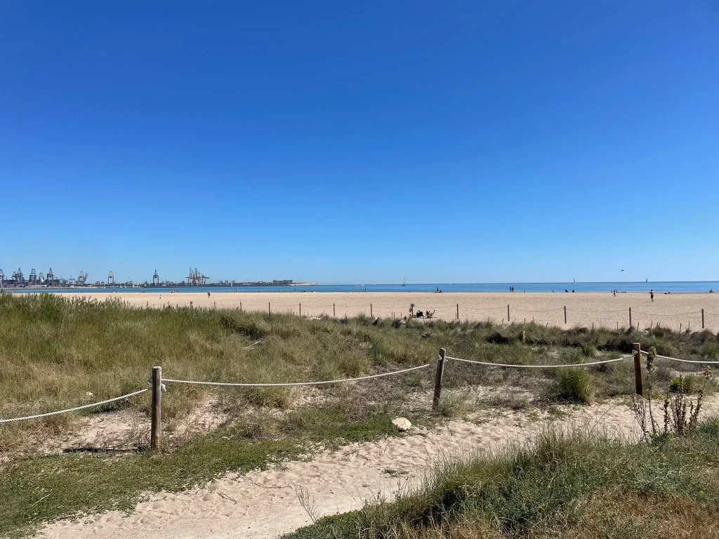 Playa pinedo