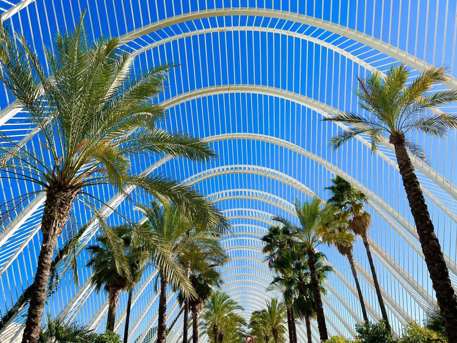 Jardim do Turia em Valência