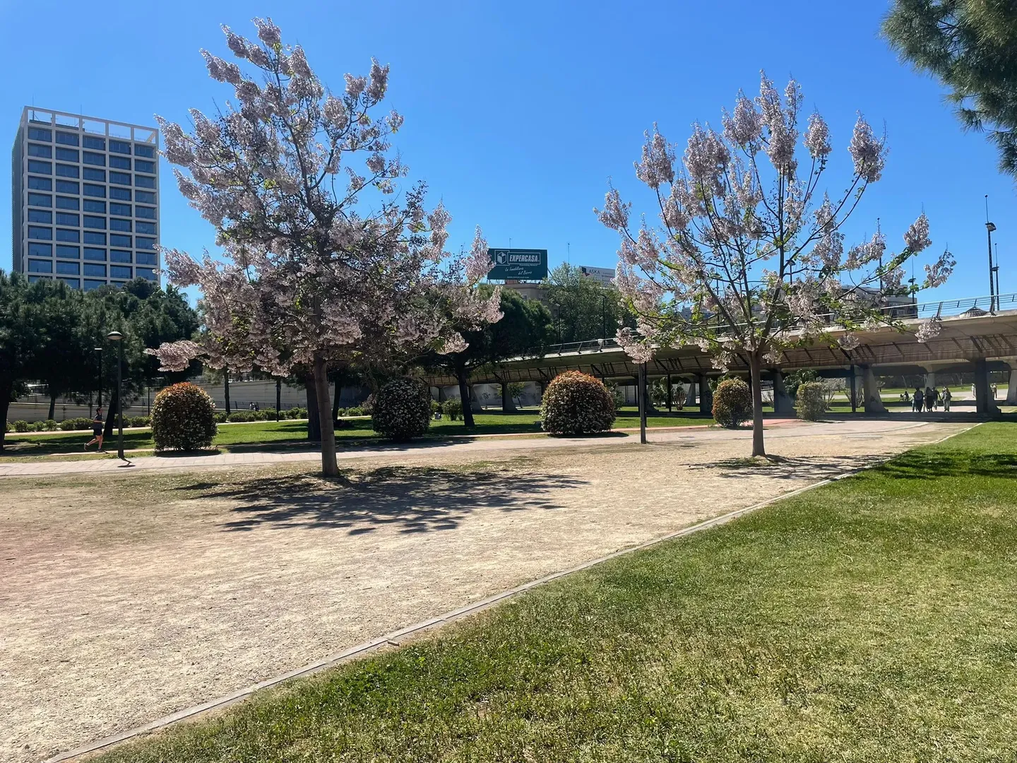 Caminho entre árvores e relvados num jardim urbano