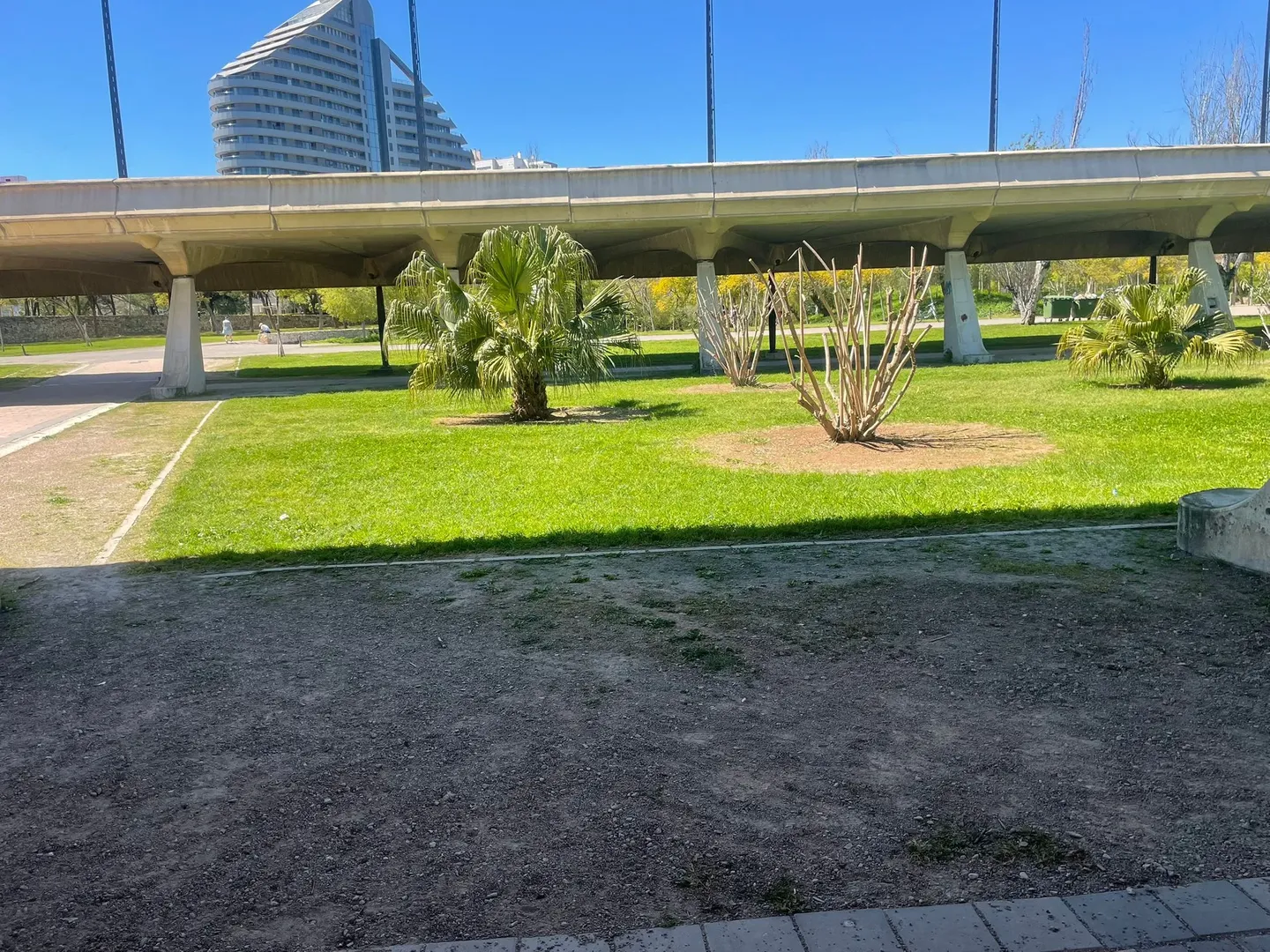 Relvado e caminho do Jardim do Turia junto de uma ponte