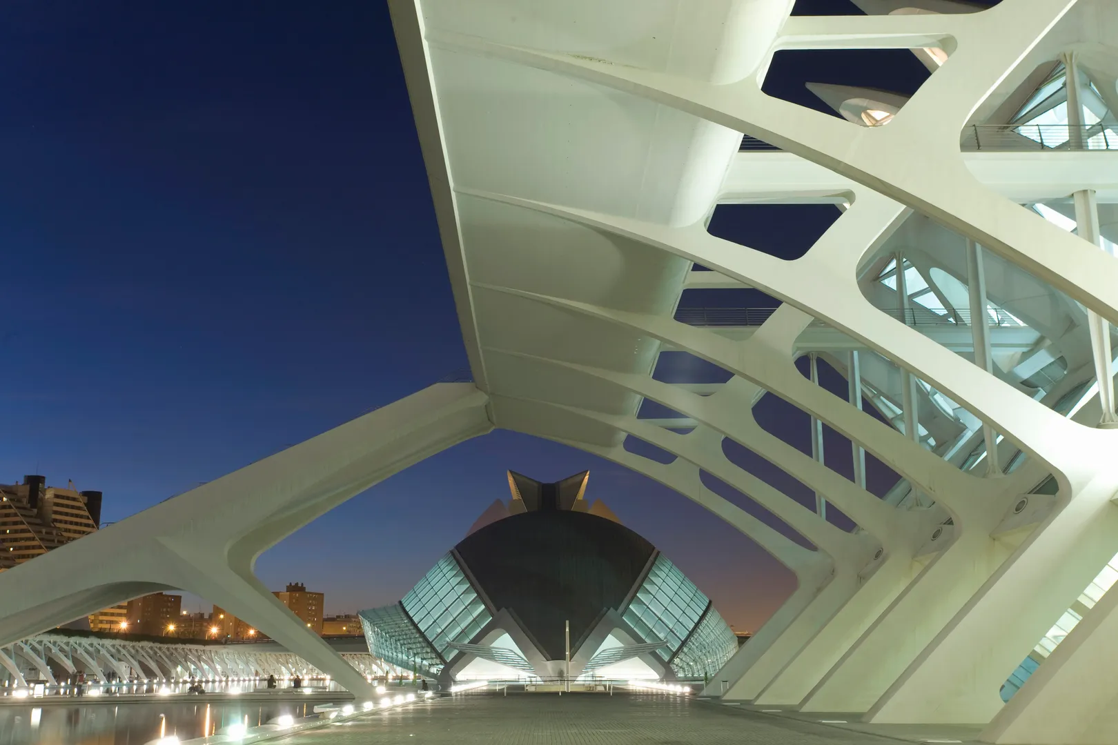 Cidade das Artes e das Ciencias de Valencia iluminada ao fim do dia