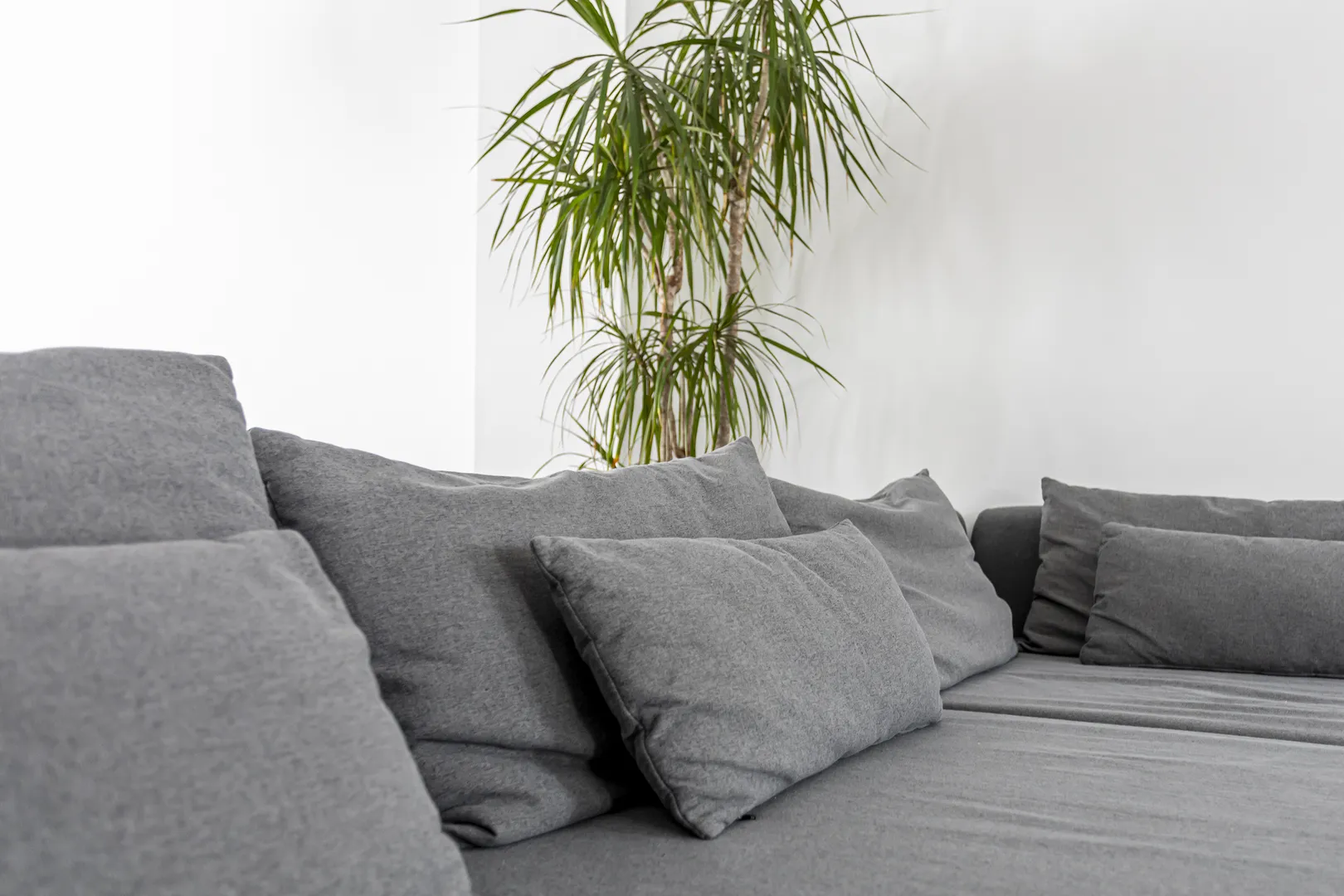 Sofá cinzento com almofadas junto de uma planta